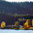 …Titisee-Impressionen 2