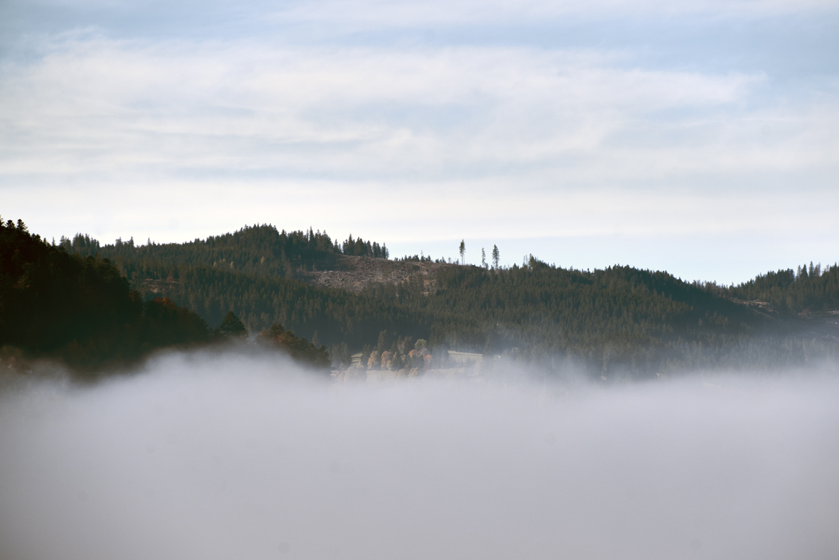 …Titisee-Impressionen 8