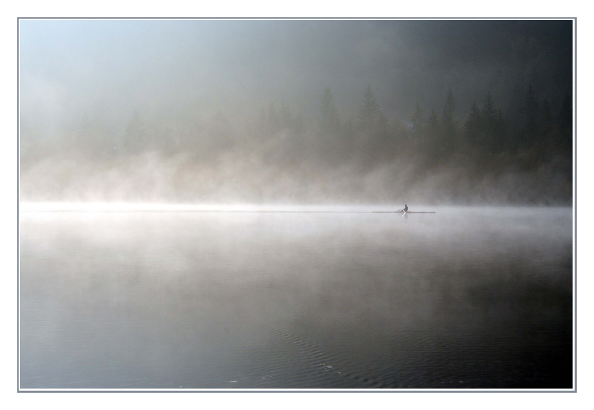 Titisee mit Ruderer