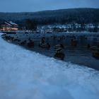 Titisee Neustadt