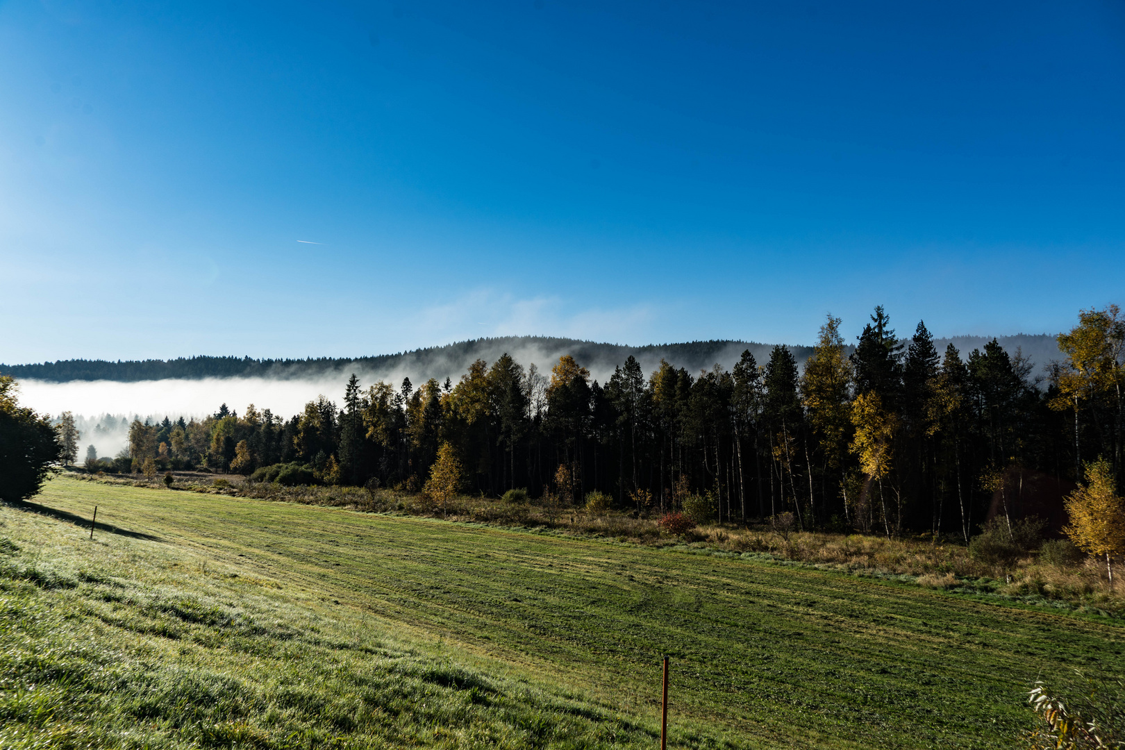 Titisee-Neustadt