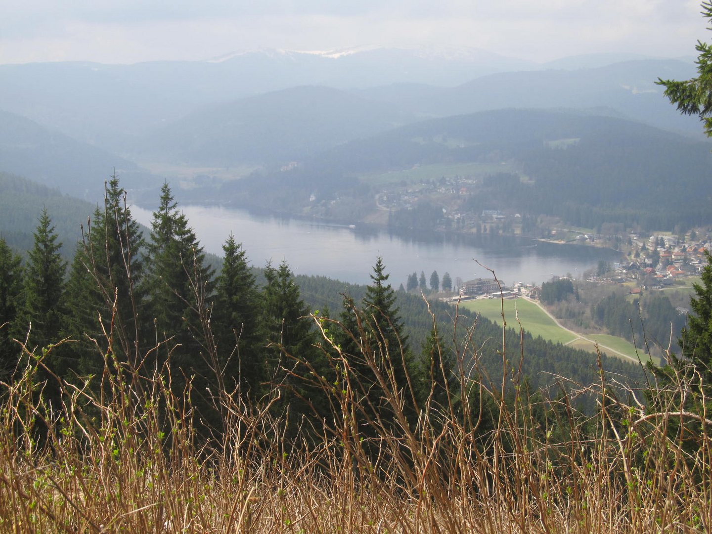 Titisee von oben