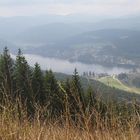 Titisee von oben