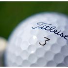 *Titleist*