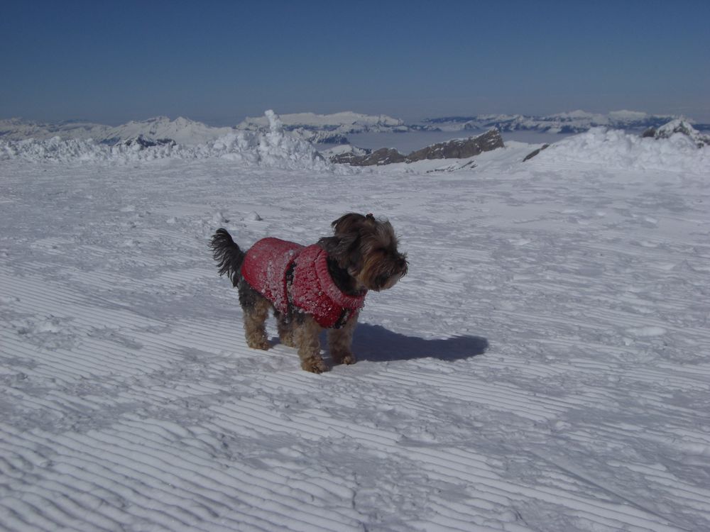 Titlis Aussichtspunkt 1.2 (Zentralschweiz)