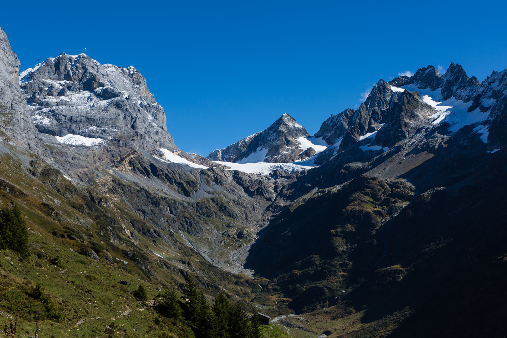 Titlis, Grassen und Fünffingerstöcke im Sustengebiet