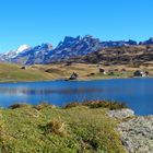 Titlis, Reissend Nollen, Wendenstöcke im Herbst