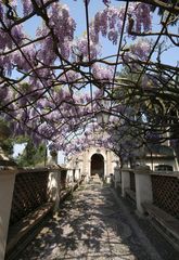 Tivoli - Villa d'Este Gartenanlage3