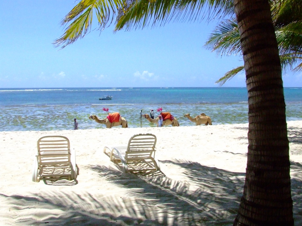 Tiwi Beach - Tiwi Beach Resort