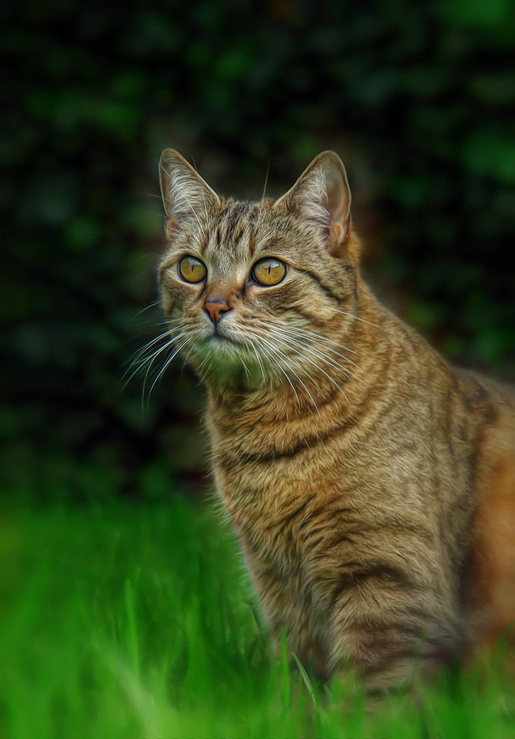 tizzy vor 14 jahren in den himmel aufgestiegen ...