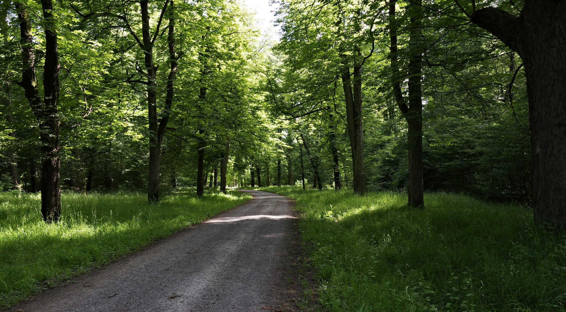 tja...auf dem Weg nach Hause...