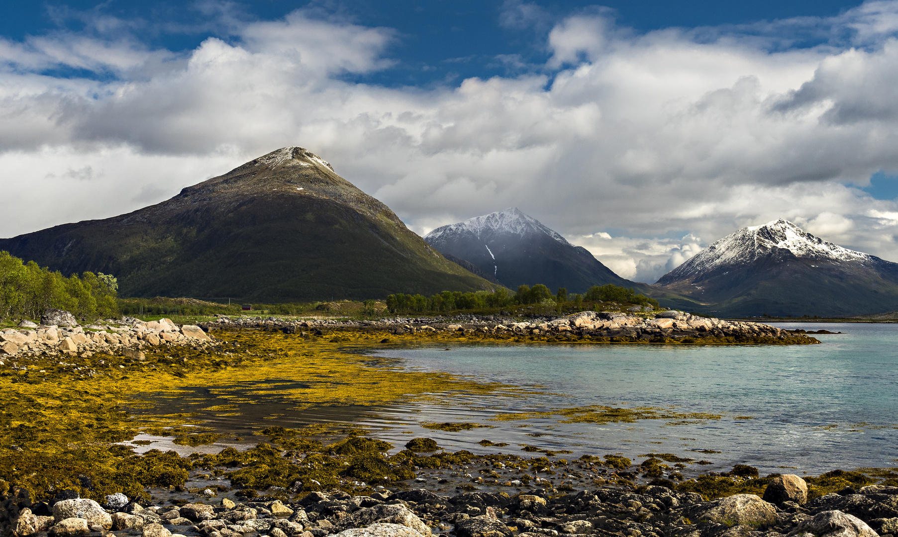 Tjelsund-Wetter