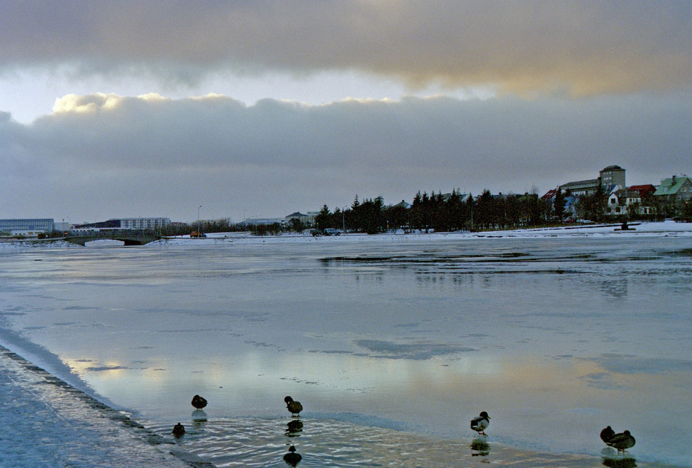 Tjörnin Foto & Bild europe, scandinavia, iceland Bilder auf