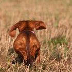 T.MM (fast): Und schüss..., Schnauze voll vom Fotoshooting!