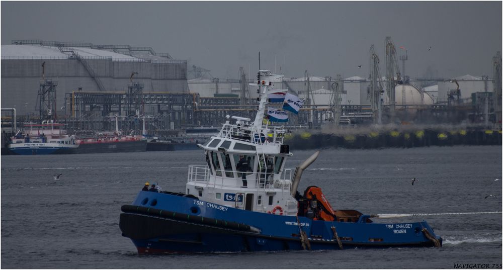 TMS CHAUSEY / Tug / Calandkanal / Rotterdam