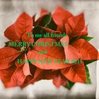 To all my friends