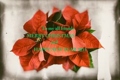 To all my friends