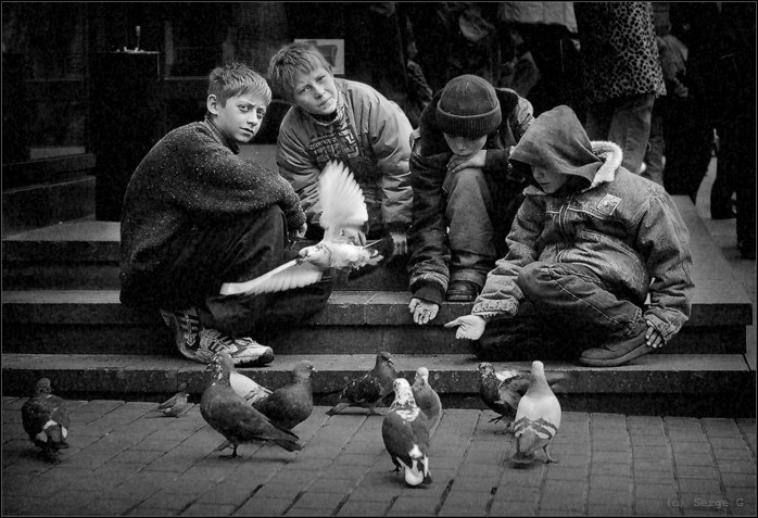 To feed pigeons