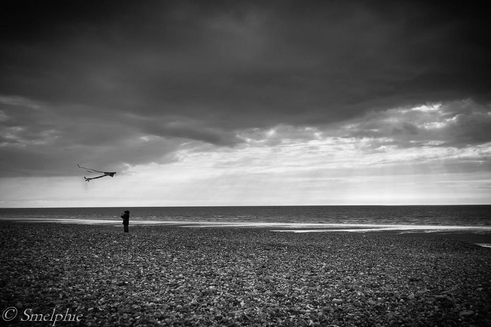 To fly a kite