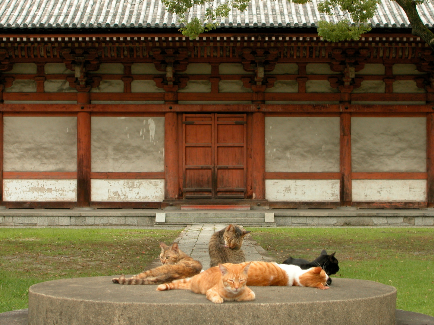 to-ji, kyoto, japan