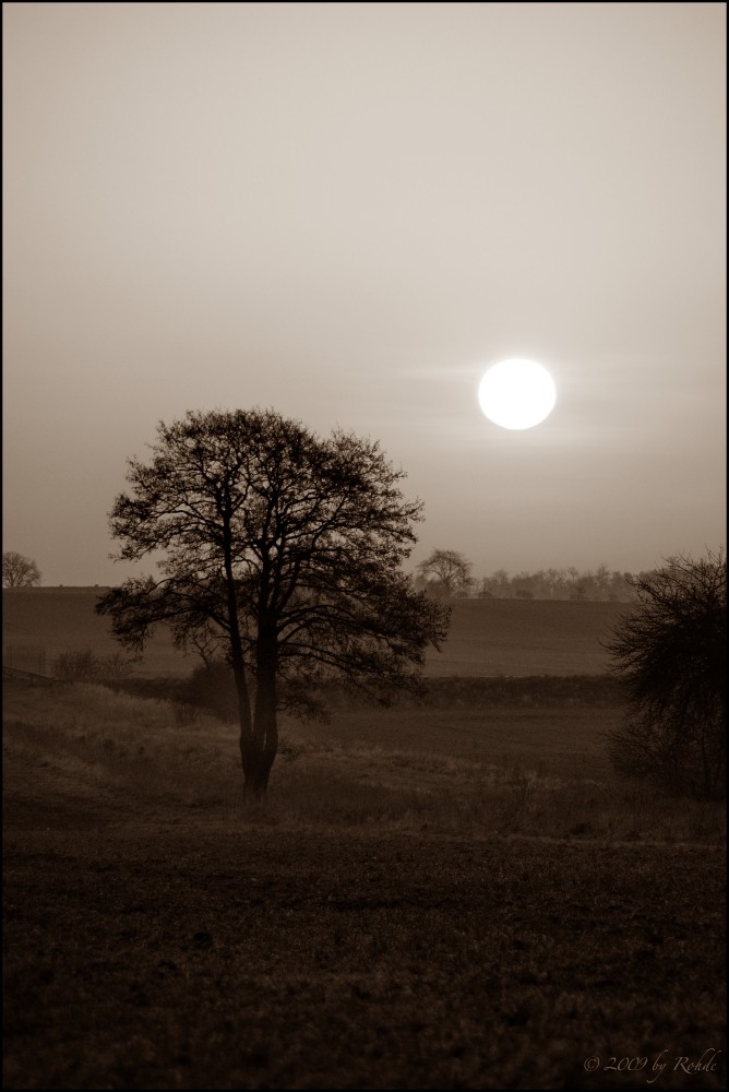 TO LOOK OUT (Sepia)