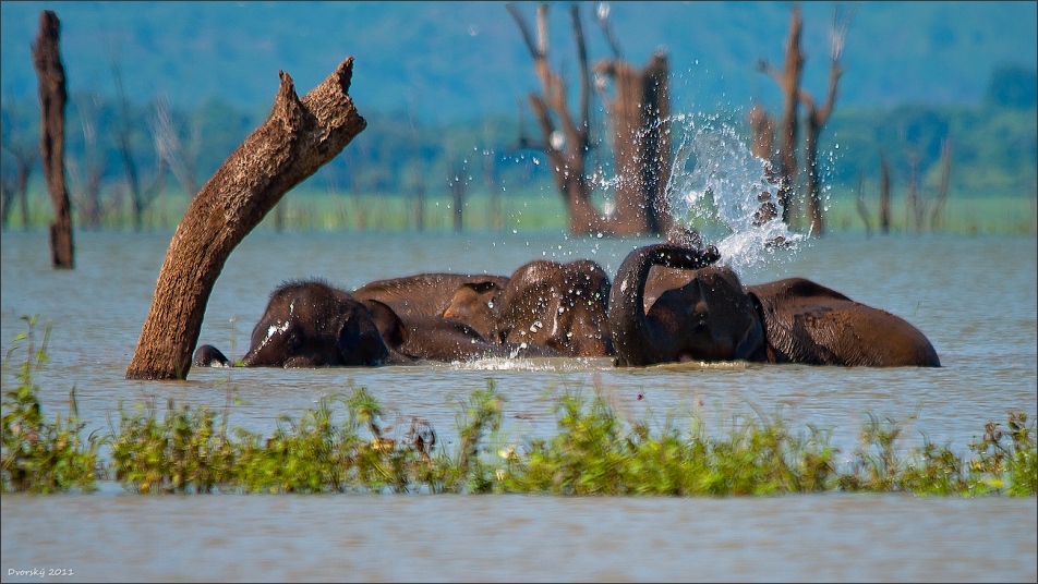 to shower