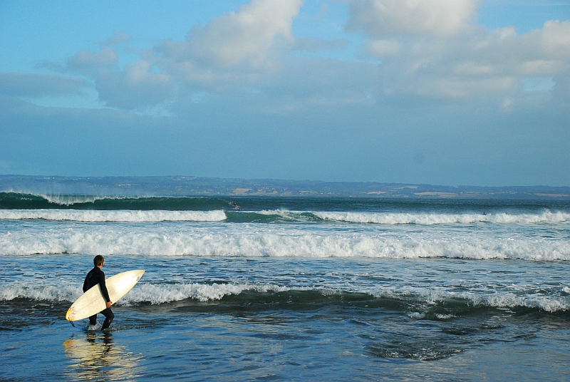 To surf or not to surf... that is the question