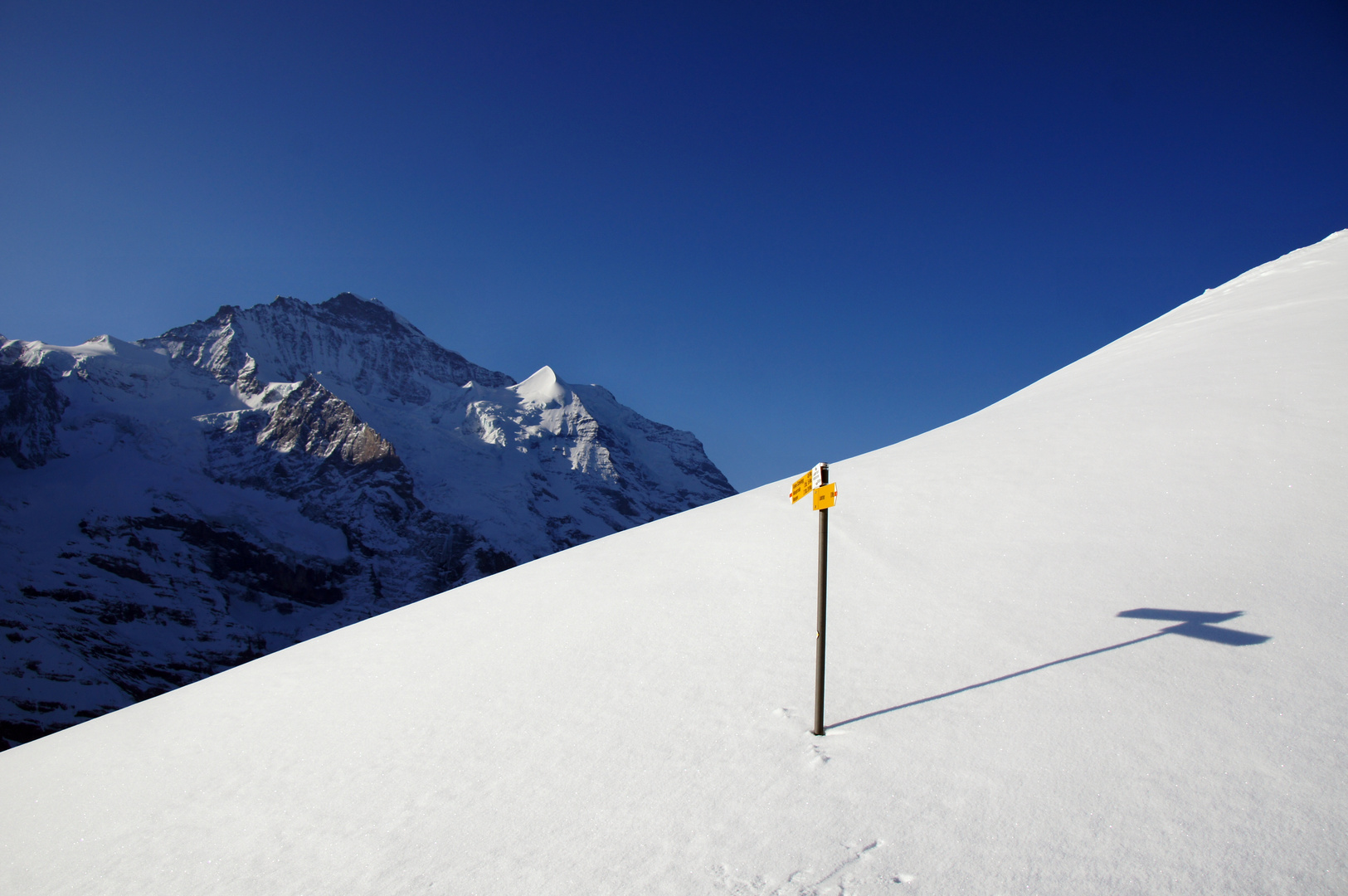 To the Jungfrau?..... This Way!!!!