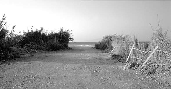 To the sea - Rhodos