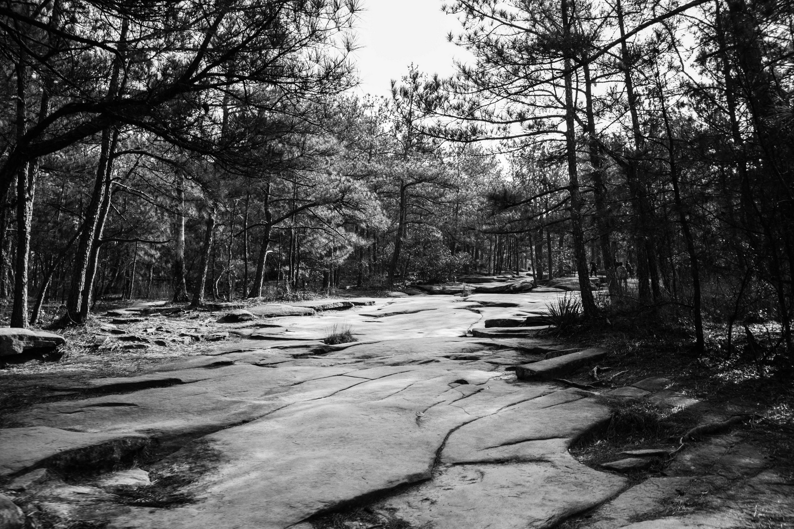 To the Stone Mountain