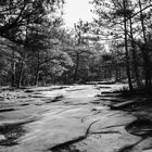 To the Stone Mountain