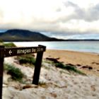 to wineglass bay