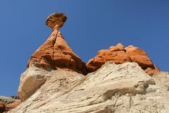 Toadstool Hoodoo