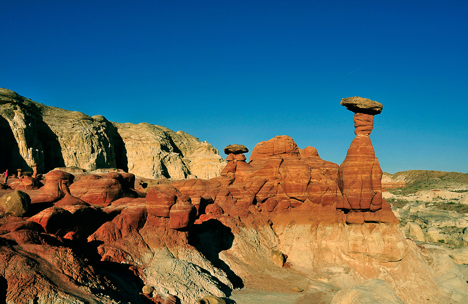 Toadstool Hoodoo