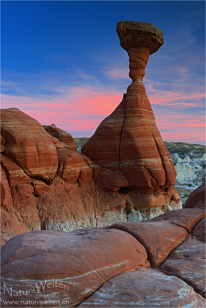 Toadstool Hoodoo