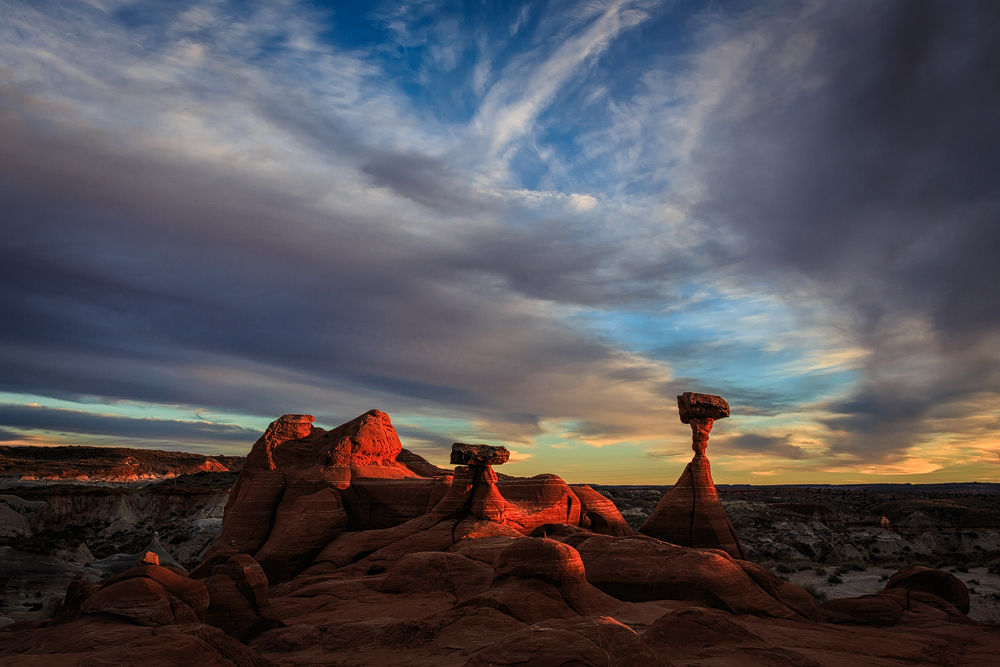 Toadstool Hoodoo