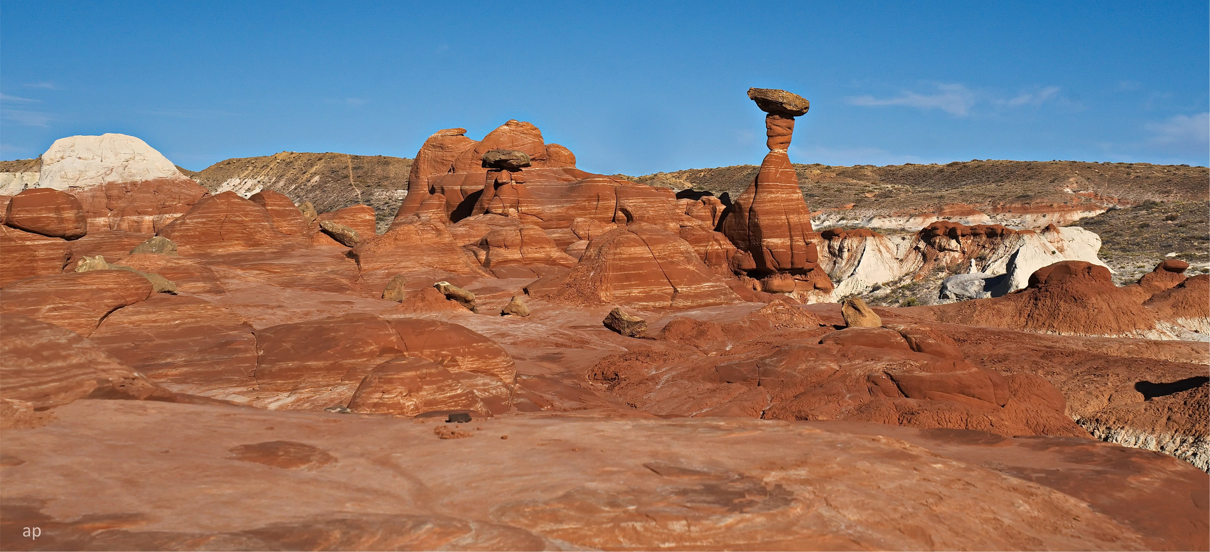 Toadstool Hoodoo