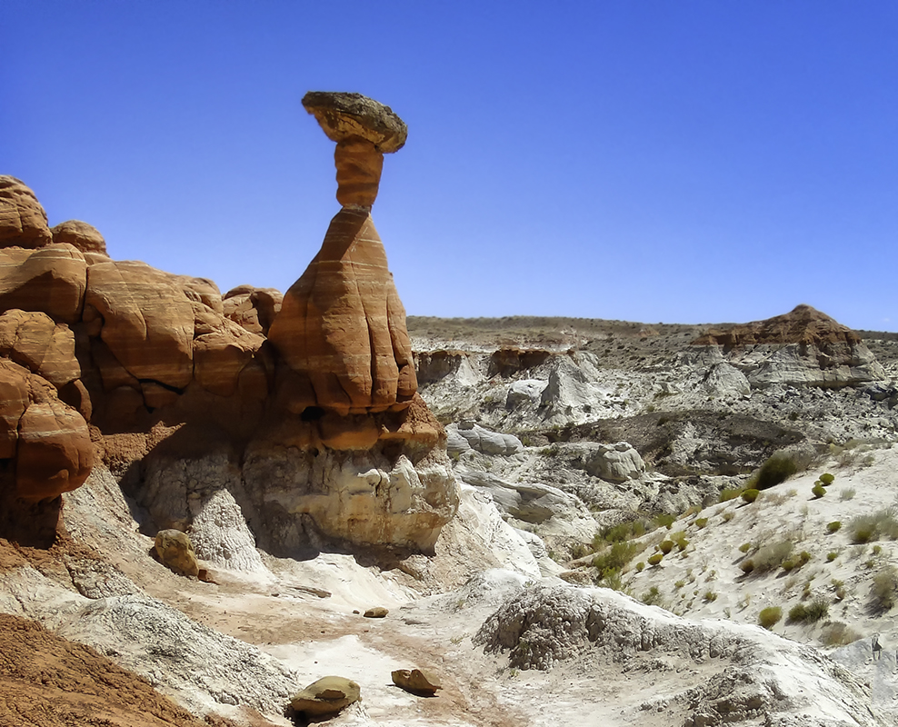 Toadstool Hoodoo