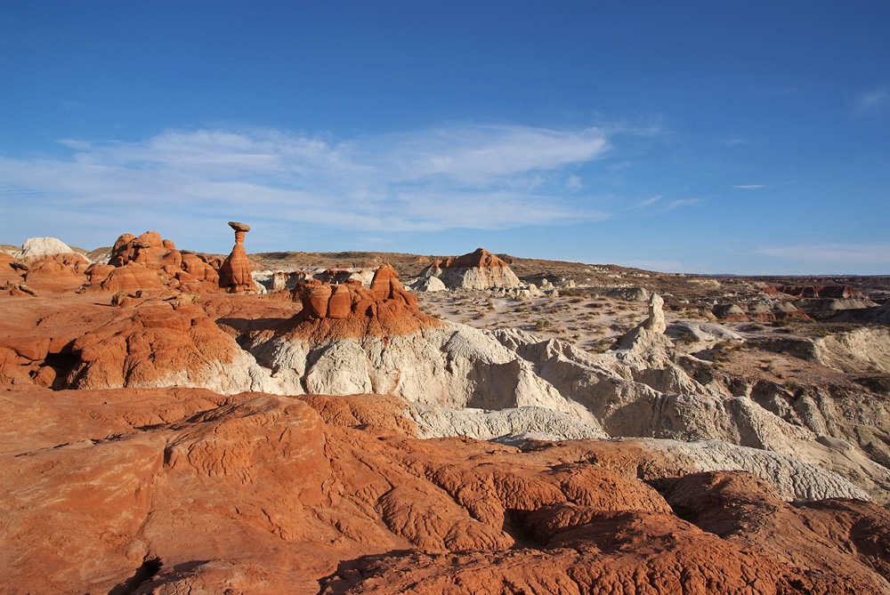 Toadstool Hoodoo