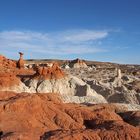 Toadstool Hoodoo