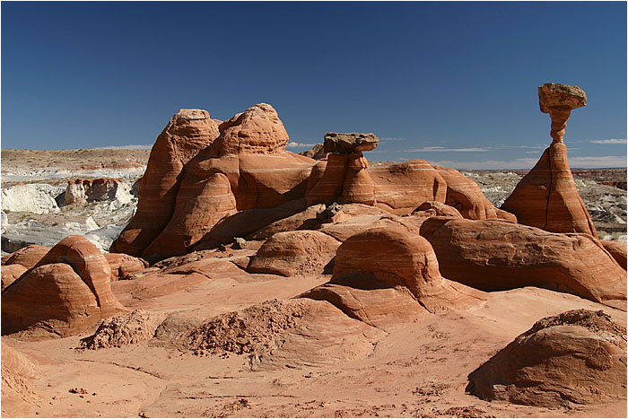 Toadstool Hoodoo