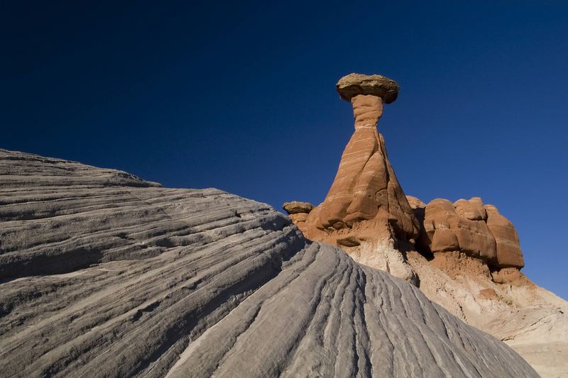 Toadstool Hoodoo