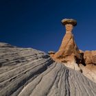 Toadstool Hoodoo