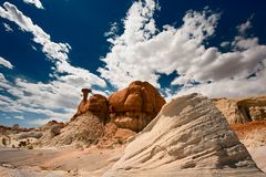 Toadstool Hoodoo