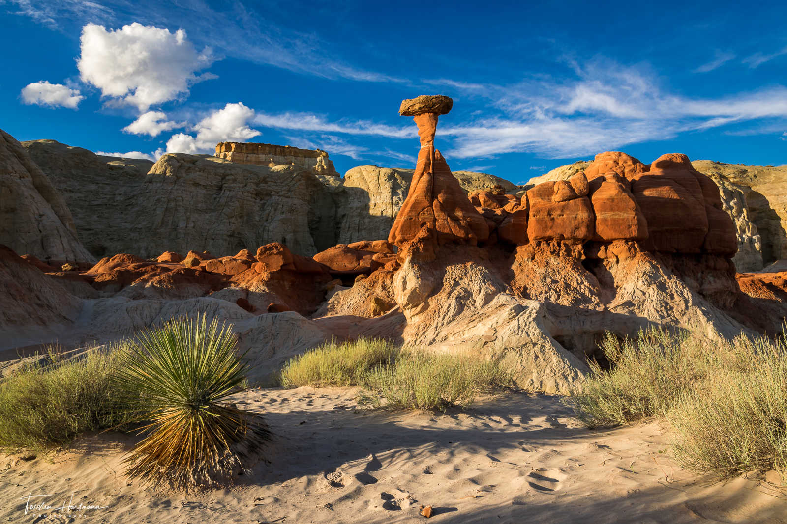 Toadstool Hoodoo at sunset light (USA)