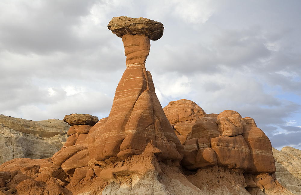 Toadstool Hoodoo