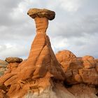 Toadstool Hoodoo