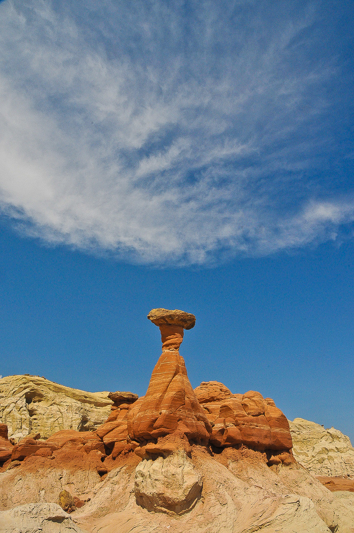 Toadstool Hoodoo