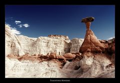 Toadstool Hoodoo