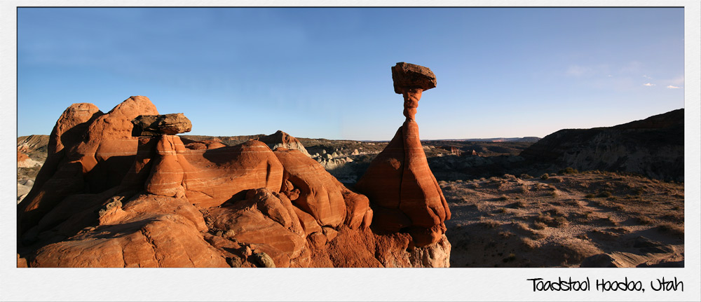 Toadstool Hoodoo